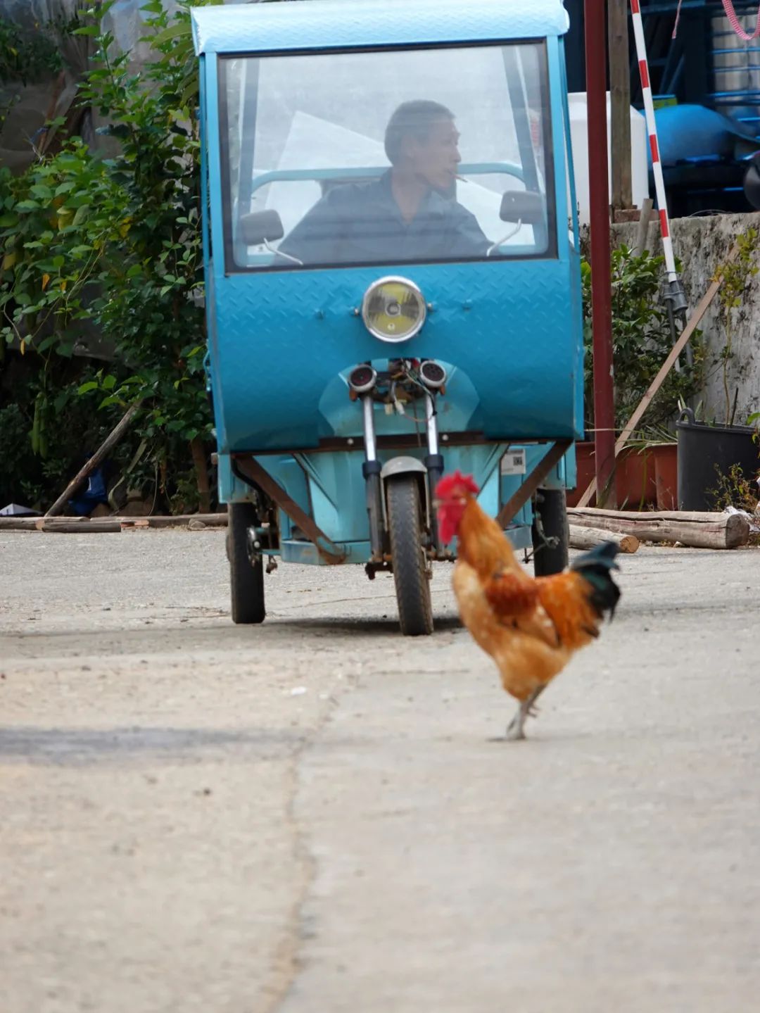 浙西南环游，喜欢龙泉，一座干干净净的山间小城