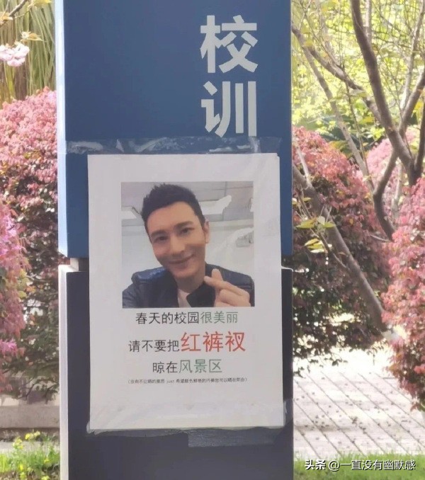 无聊图集20221126足球反着买，别墅靠大海