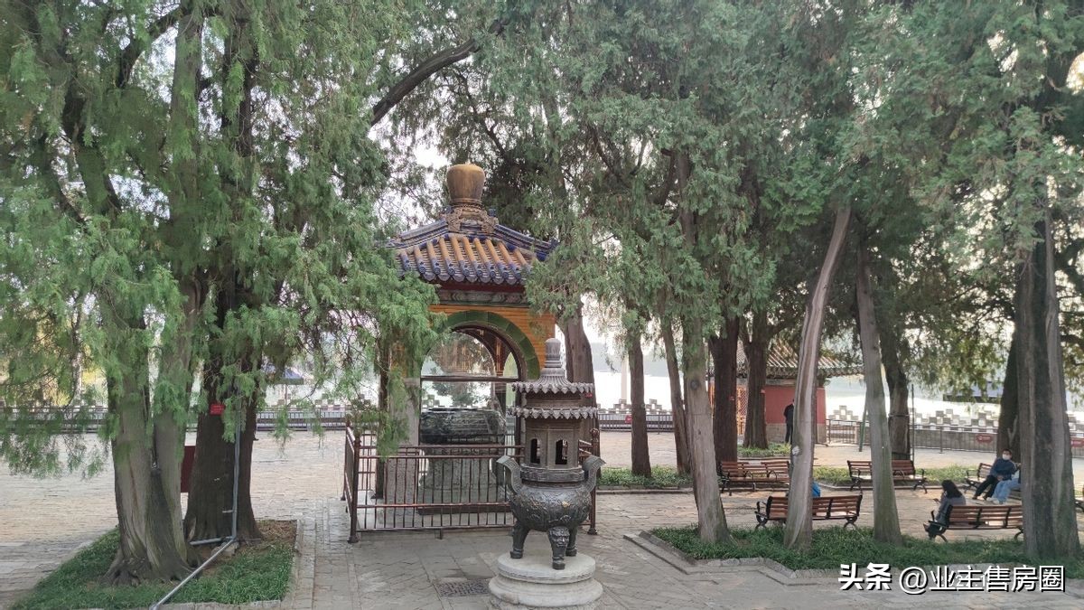 youareverymuchontime读后感,therailwaychildren读后感