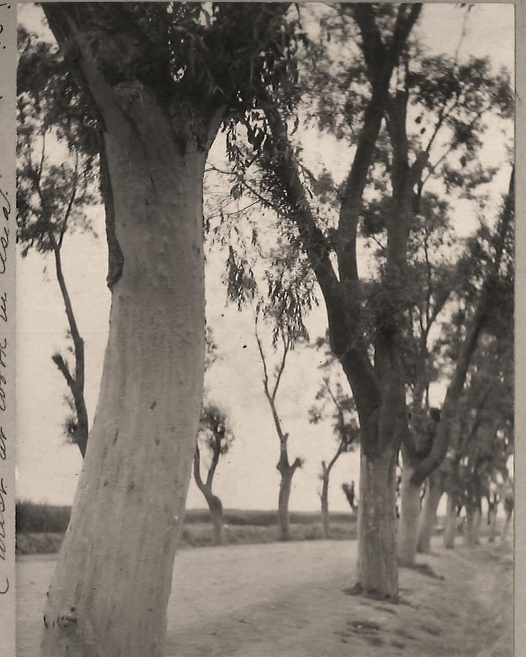 女子身着日本侵华军装露脸,女子穿日军军服拍照被抓