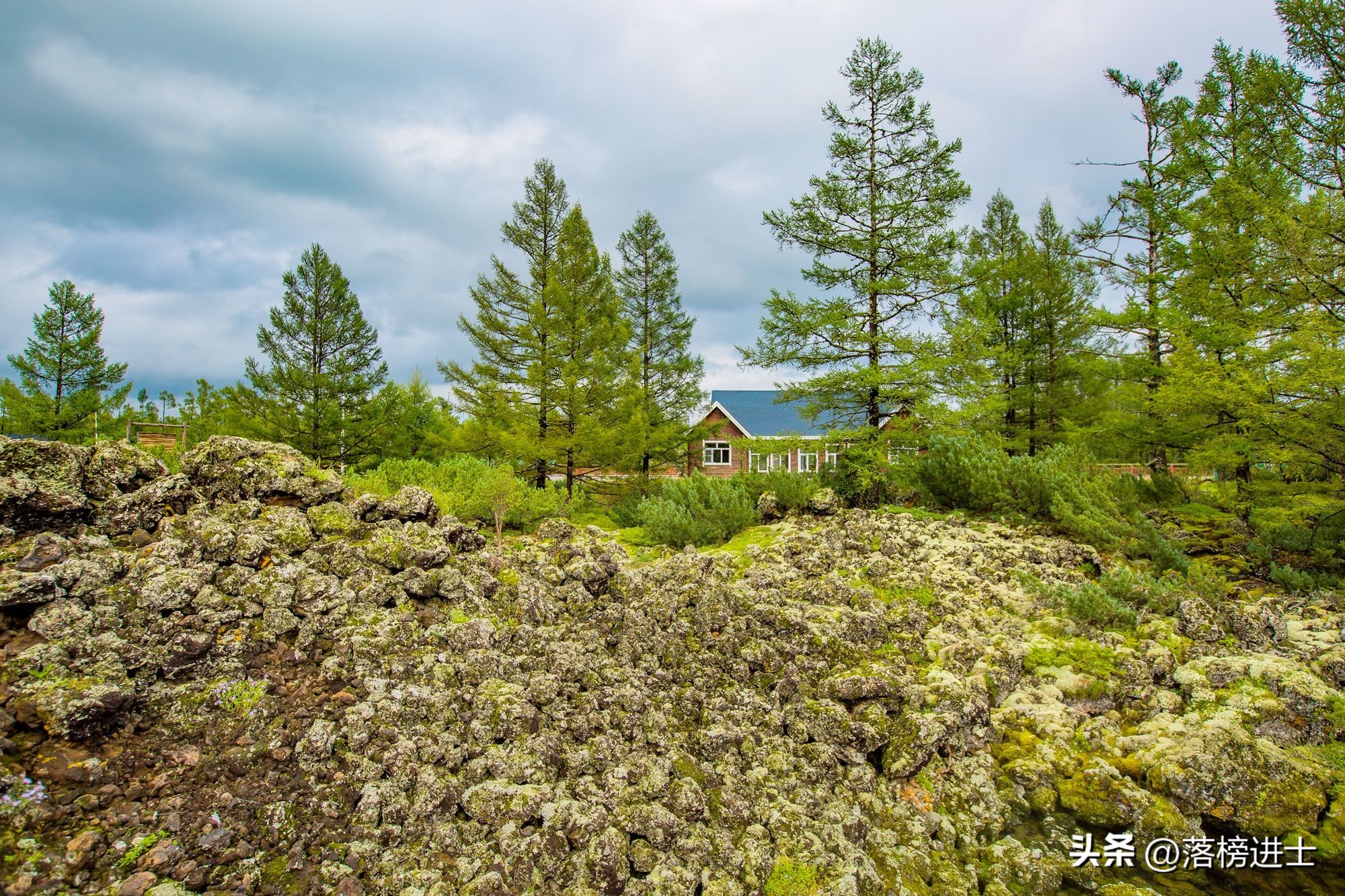 内蒙古阿尔山旅游风景,内蒙古阿尔山森林公园图片和介绍