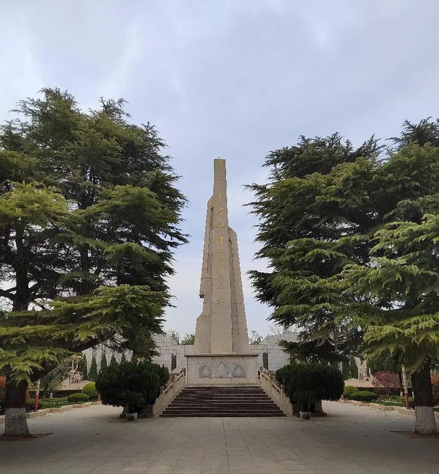 小学缅怀革命先烈主题活动,育才小学开展缅怀先烈