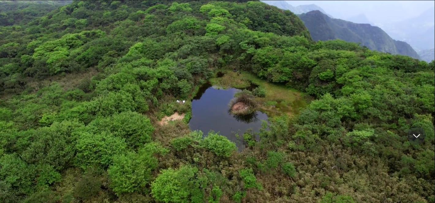 广西神秘天池水有多深,都匀斗篷山山顶有天池