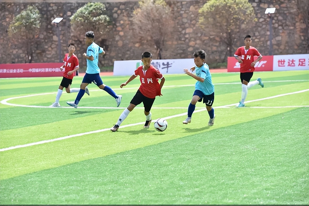 青少年成长基金会,青少年发展基金会