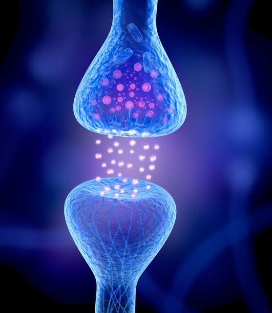 食物中的六大营养素作用,营养素的基本知识碳水化合物