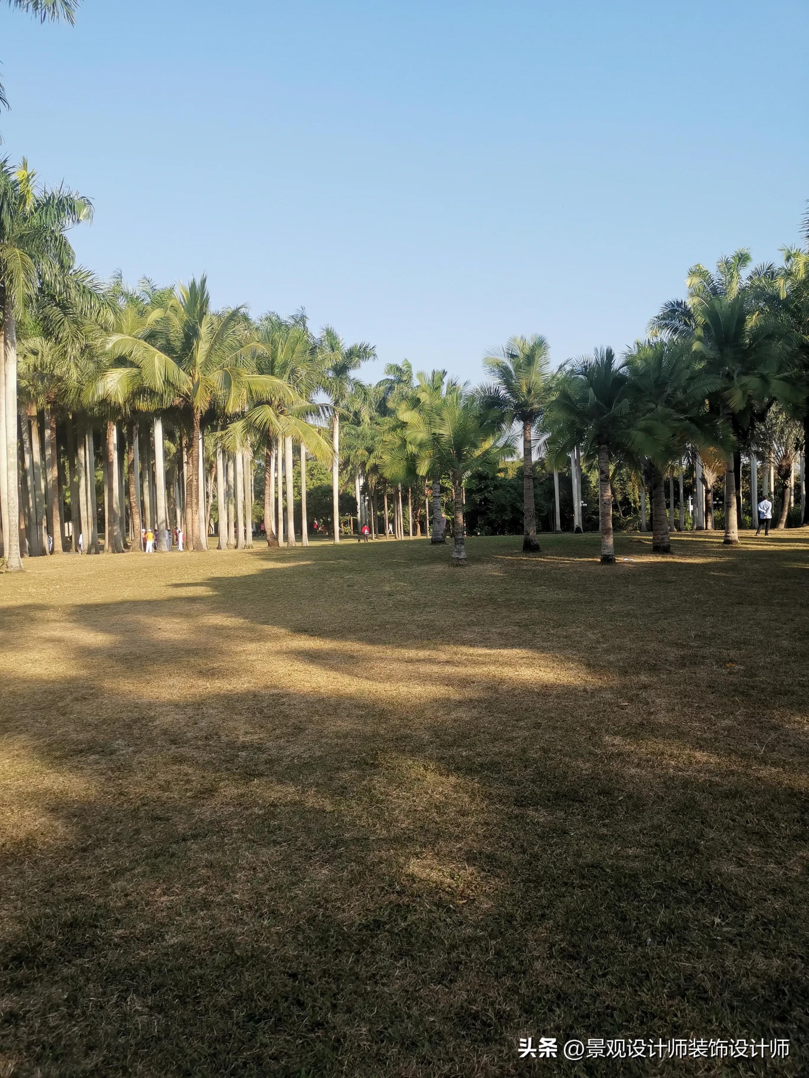 深圳市东湖公园广场舞,深圳市东湖公园收费标准