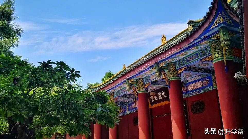 刚刚！石室、泡小官宣落户天府新区，王炸来了