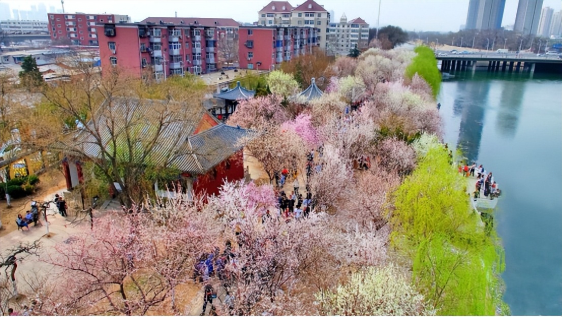 【津云夜读】天津这个区域迎来新发展｜2023运河桃花节攻略来了｜这种病毒进入高发期，中疾控提醒