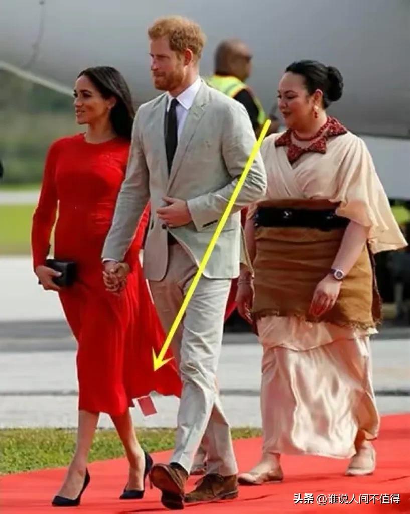 梅根为什么不适合王室生活,梅根为什么遭人嫌弃