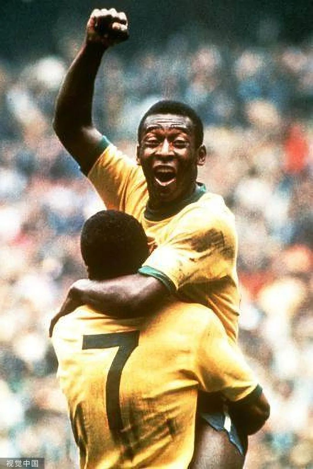 贝利还在跑吗,贝利最后一次出镜