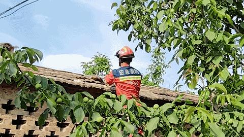 洛阳市幼儿园一键报警,警惕一幼儿园50多名学生感染