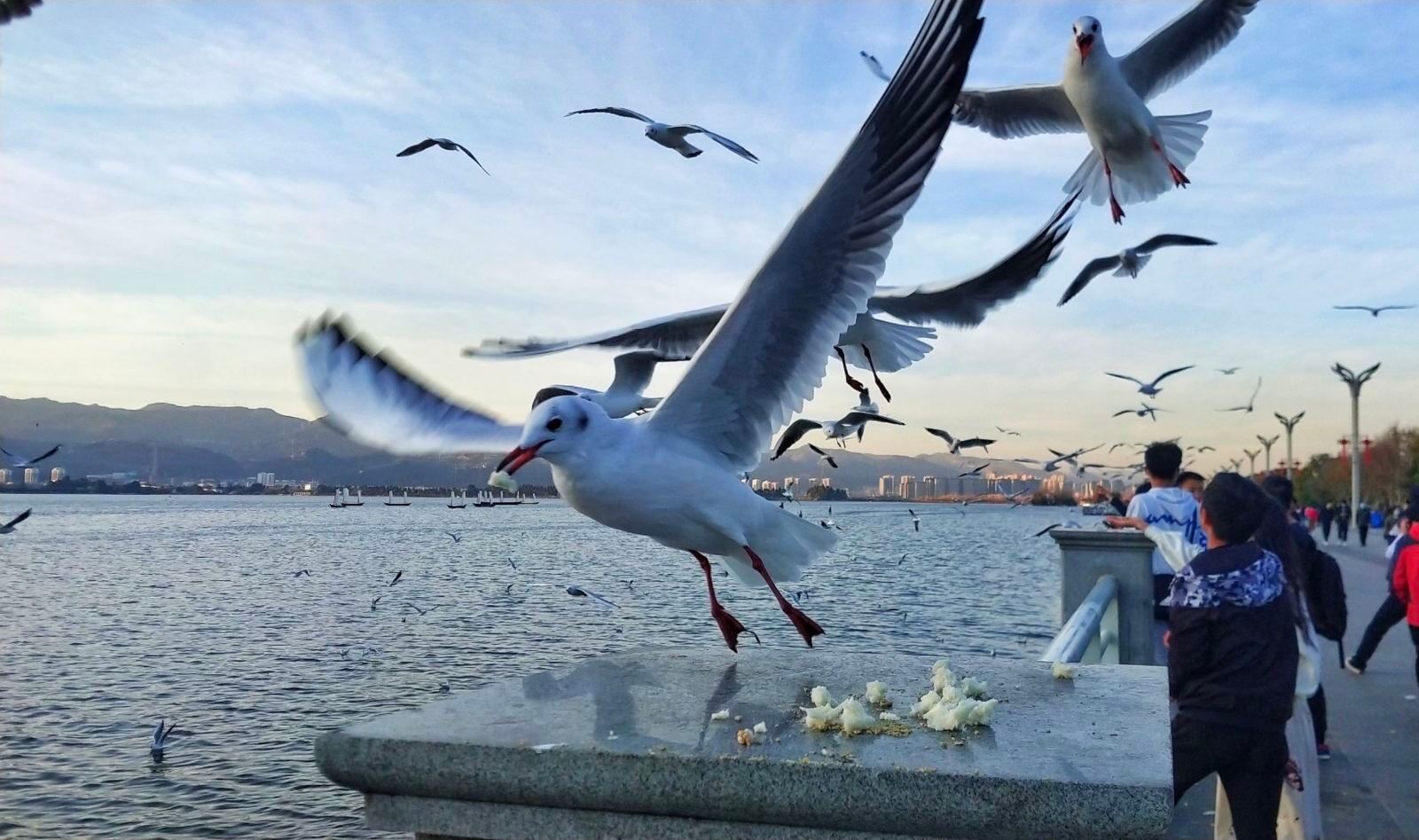 云南旅游景点主要有哪些景区,云南可以玩的旅游景点排名前十大