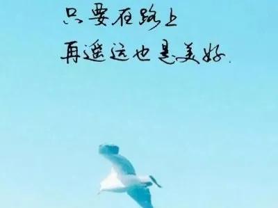 人生语录正能量人生感悟六句,生活不易活好当下经典语录