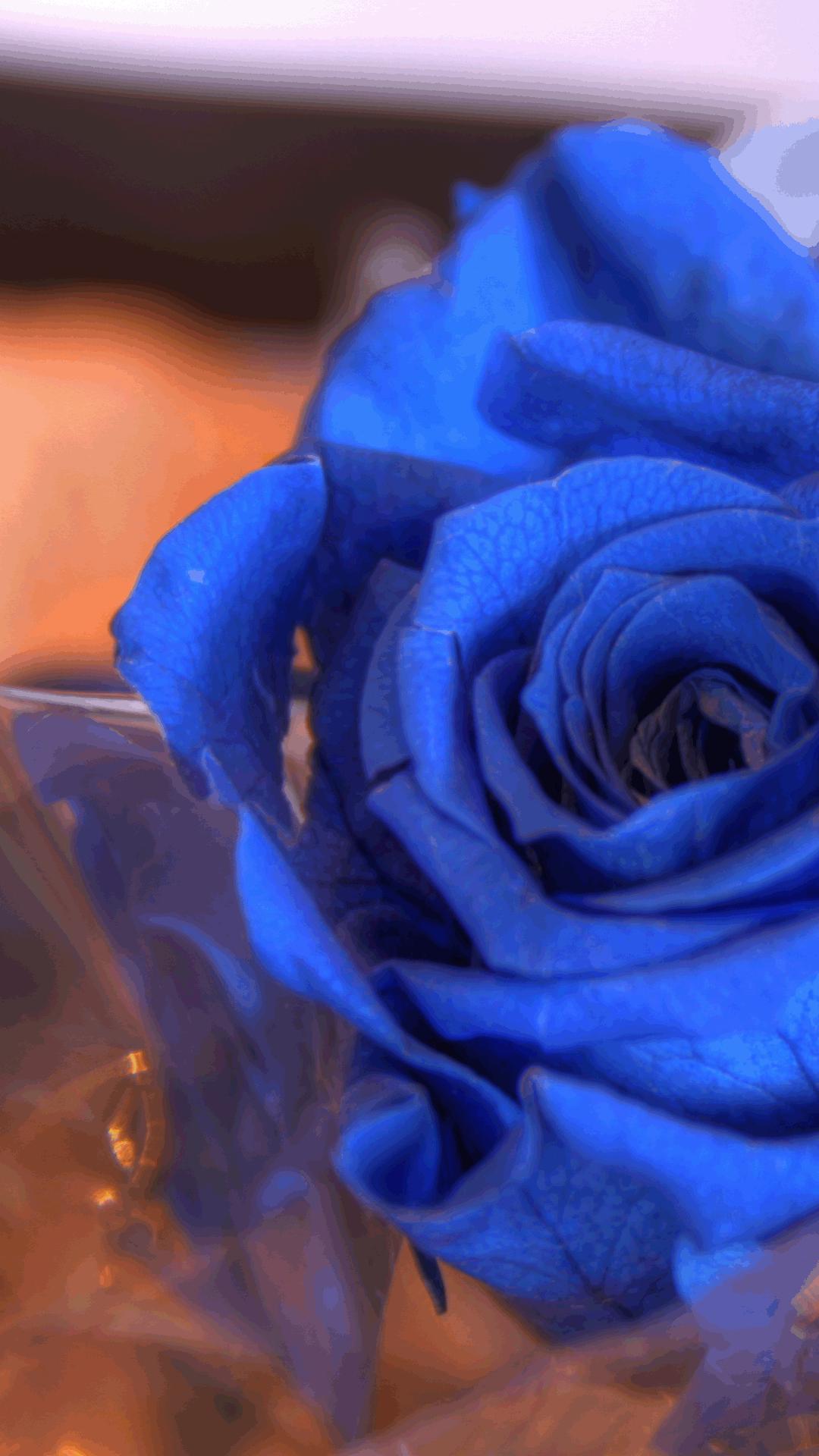 蓝色妖姬花束壁纸,花朵壁纸蓝色