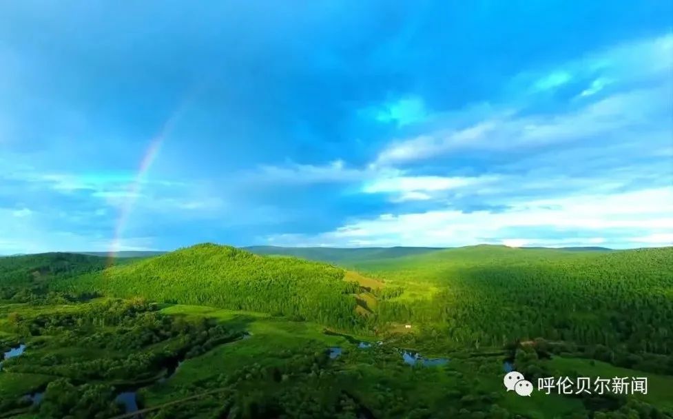 呼伦贝尔：做大生态“绿银行”托起百姓“致富梦”——深入践行习*平近**生态文明思想系列报道之六