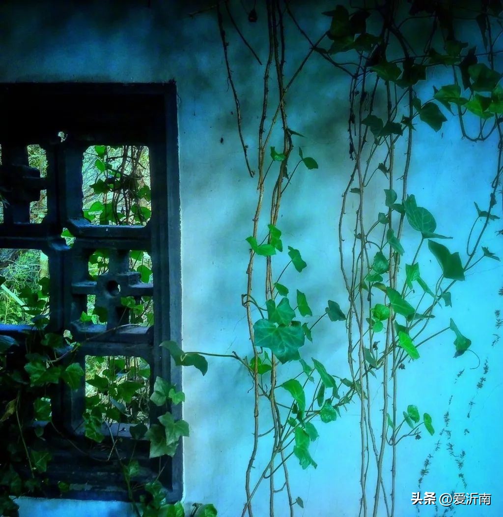 十首绝美夏天诗词大全,微雨过小荷翻榴花开欲然全诗