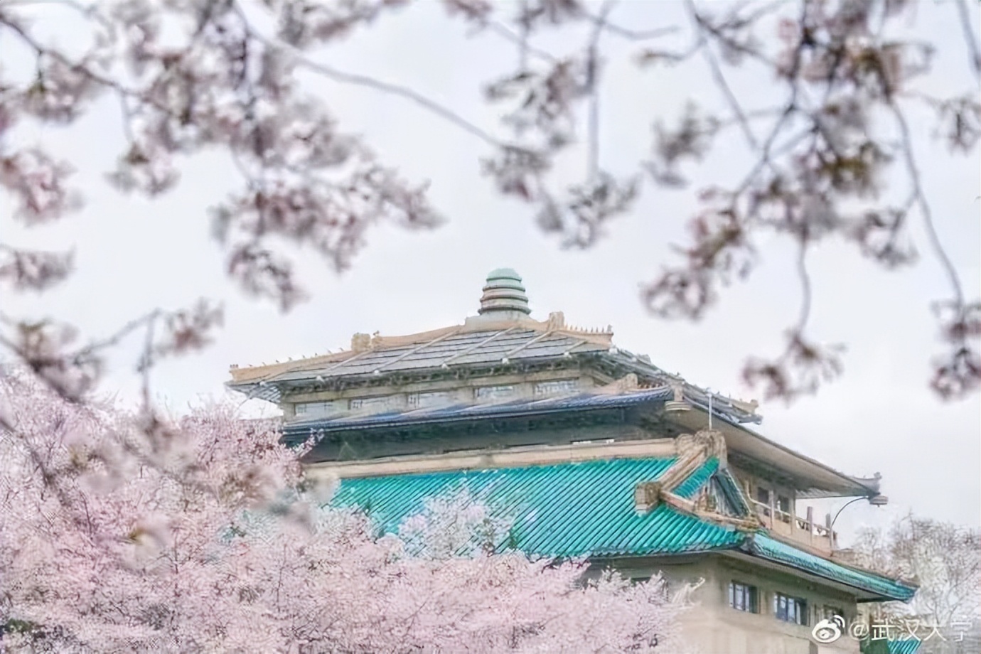 这几天，和武汉酒店一起火爆的，还有这个邮局→