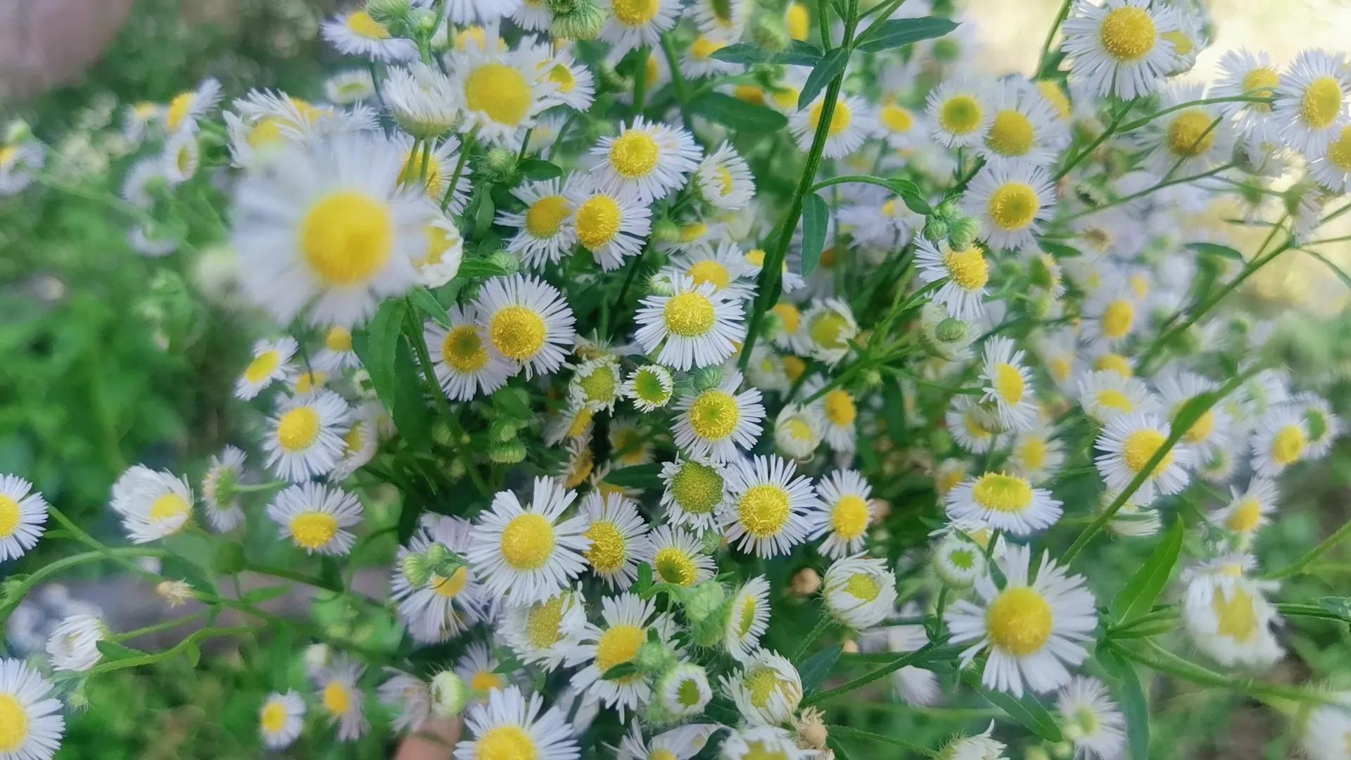 2022年的最后一个月，我被骂的狗屎不如，网暴有多可怕