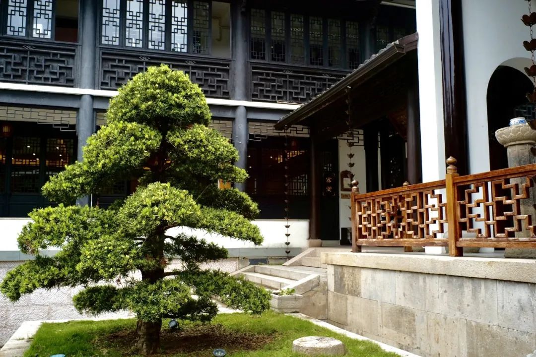 浙江市区度假酒店推荐,浙江轻奢酒店值得推荐