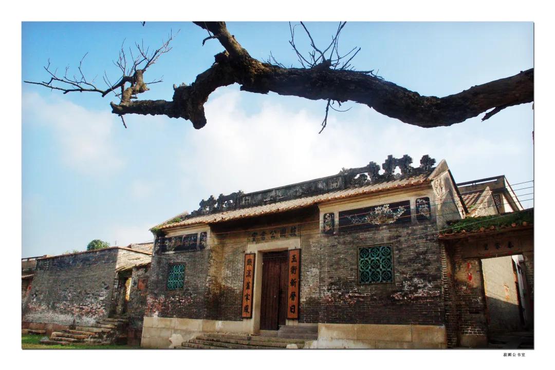 塱头村草地,塱头村草坪