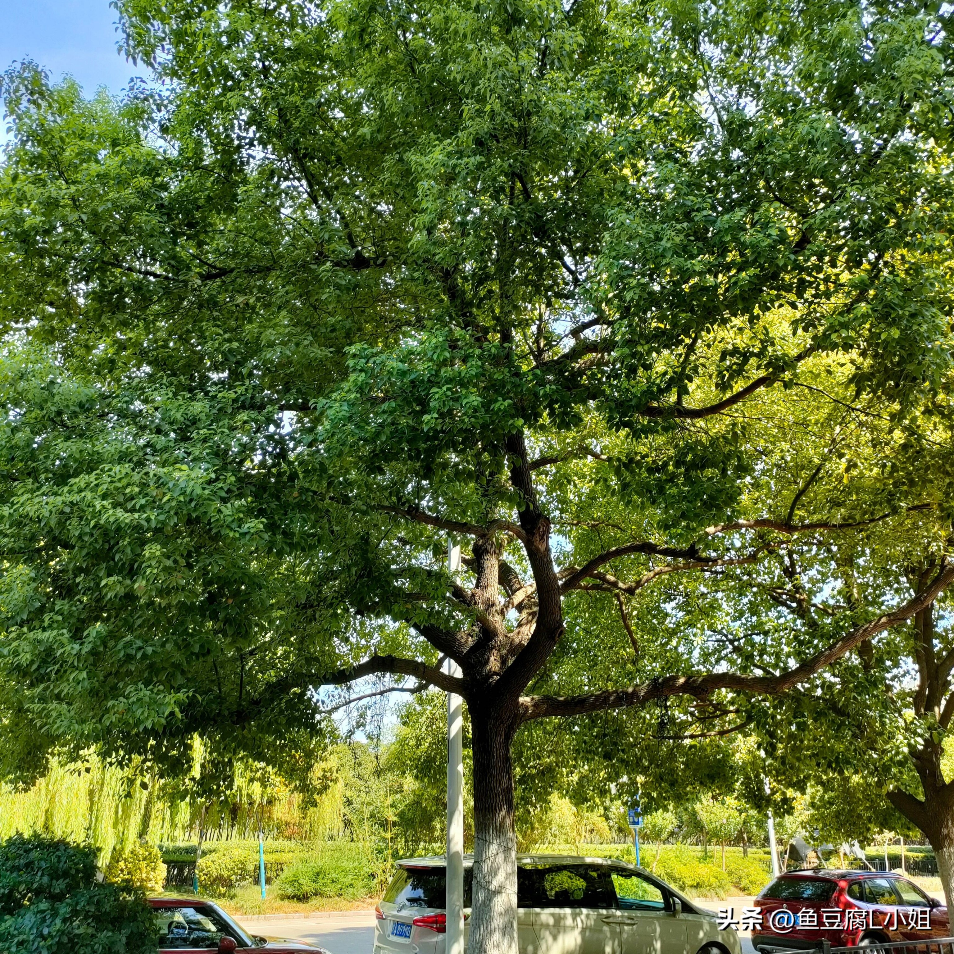 合肥城市空间规划,合肥是文明城市吗