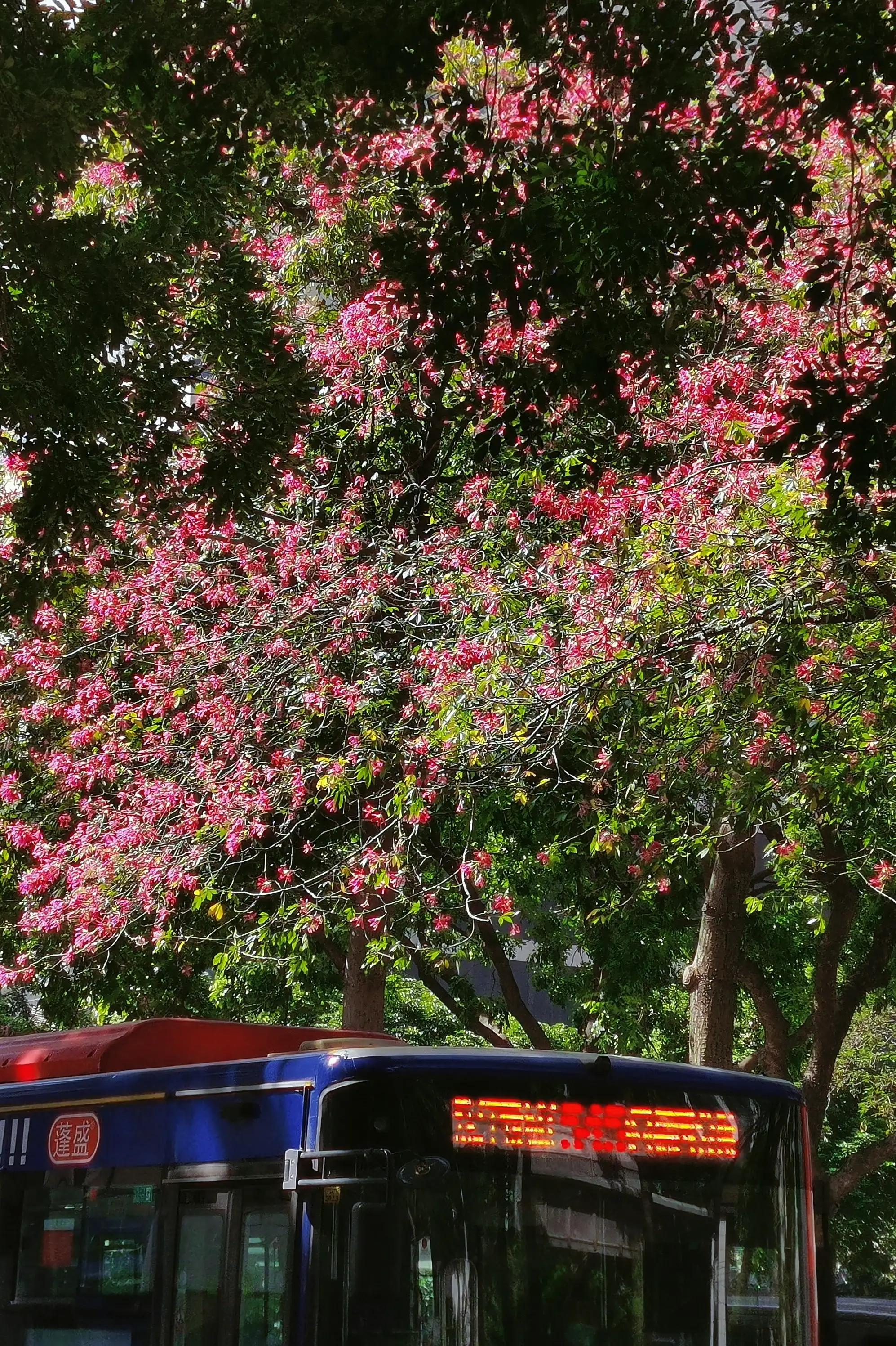 广州城中村环境怎么样,广州城中村真是脏乱差吗