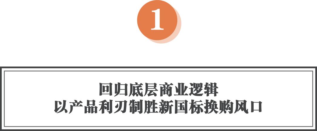新国标爱玛改款,爱玛高端新国标