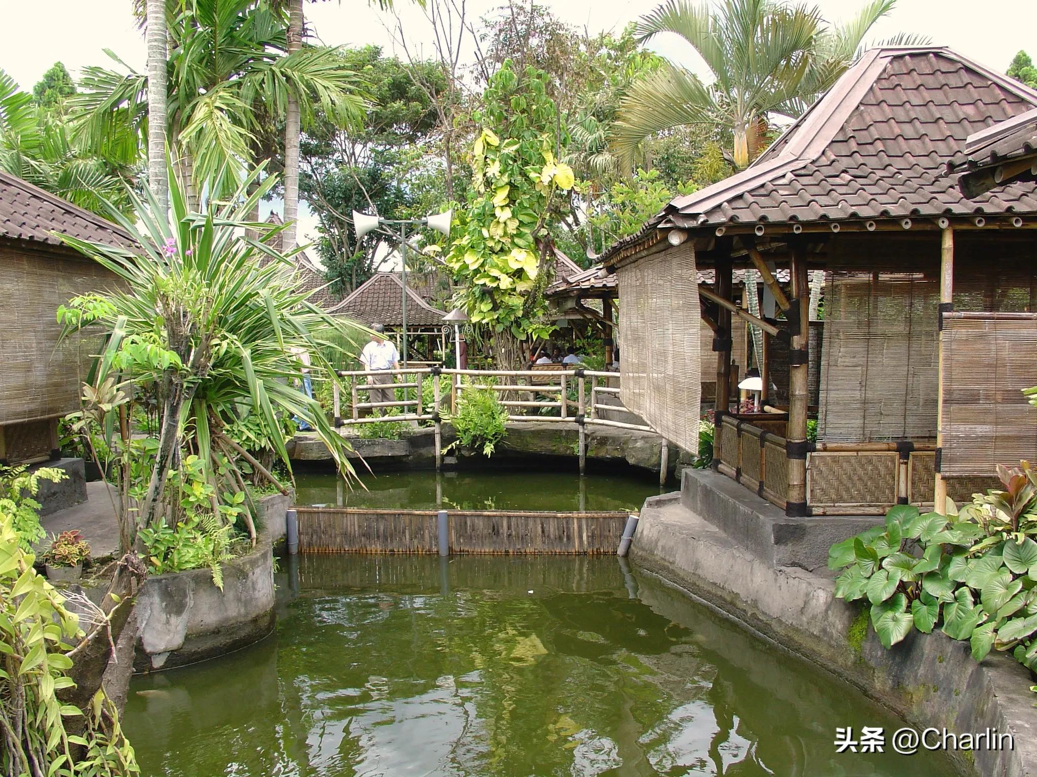 印度尼西亚旅行篇,泰国新加坡印度尼西亚完整版