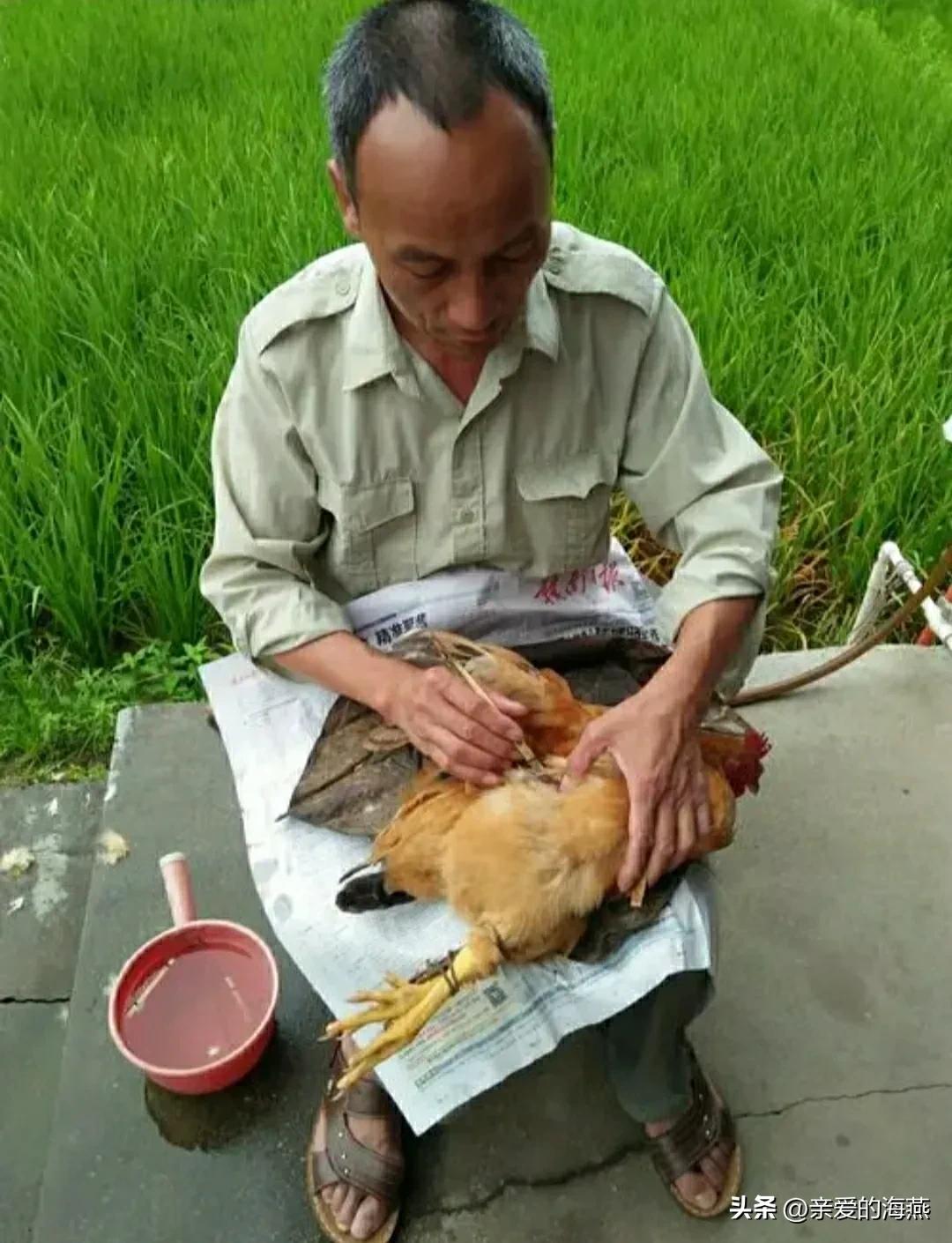 曾经吃香农村10大“手艺人”,一人养活一大家子,如今无人问津了