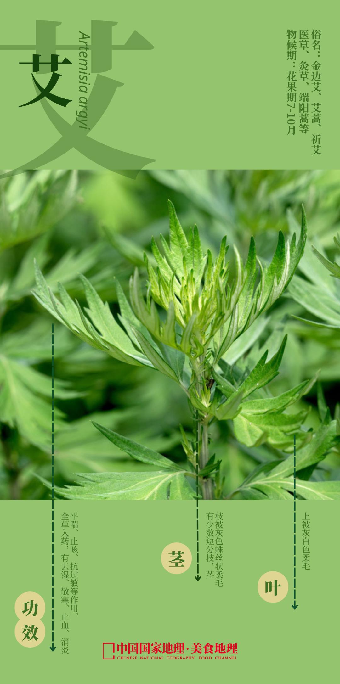 富春江河鲜,富春江诗词