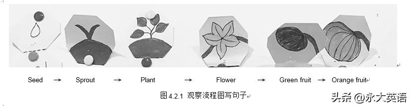 初中英语系统化作业设计,初中英语生活化作业设计课题方案