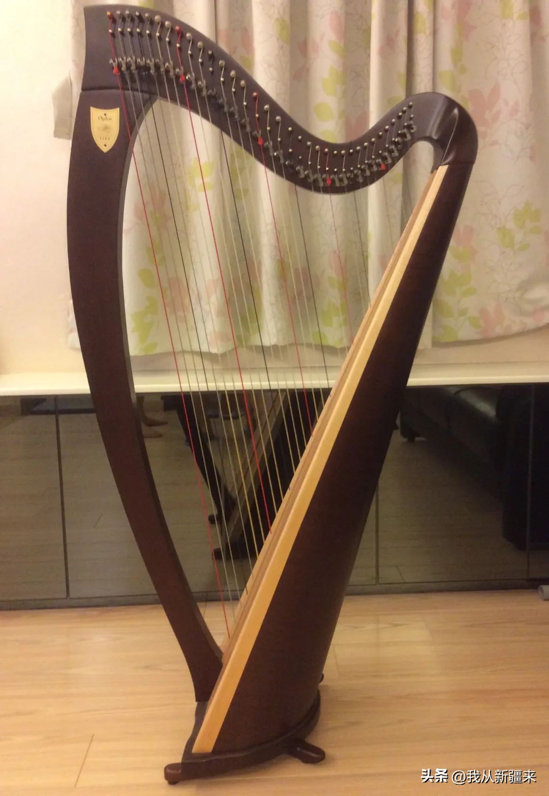 民族乐器分类及答案,认识各种民族乐器