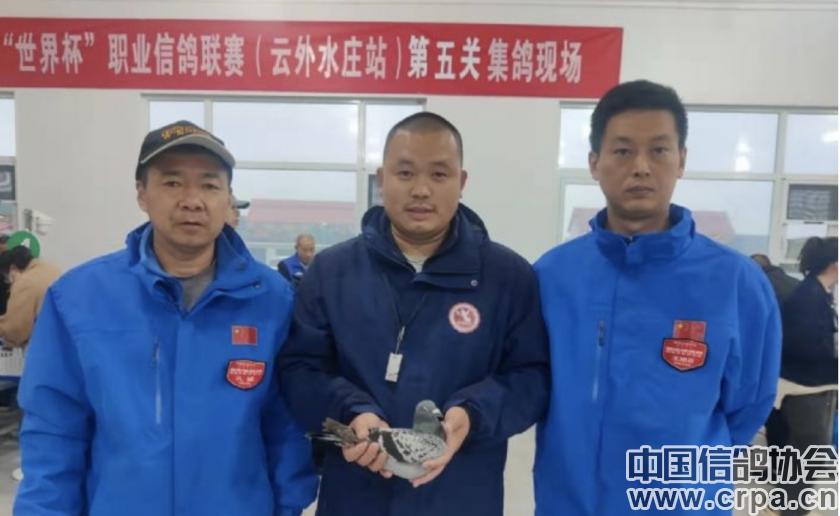 世界杯总决赛7-1,世界杯总决赛后半场回放