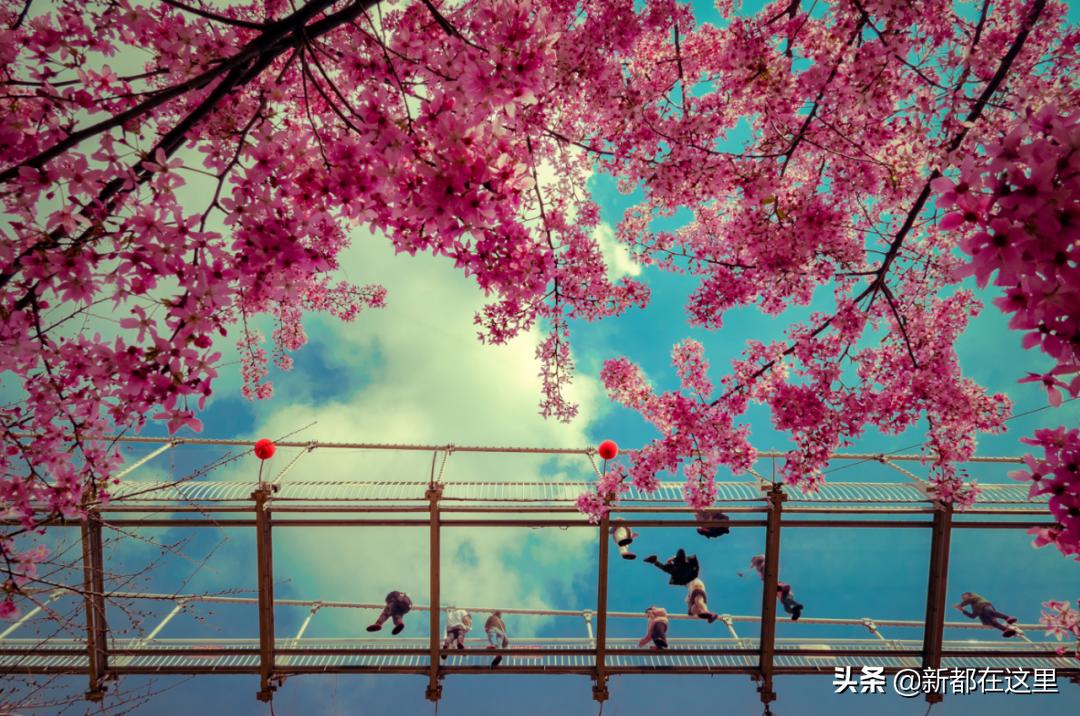 如果城市有颜色重庆,如果城市有颜色作文