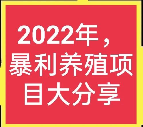 2021年养殖什么能挣钱多,在2022年里养殖什么最赚钱