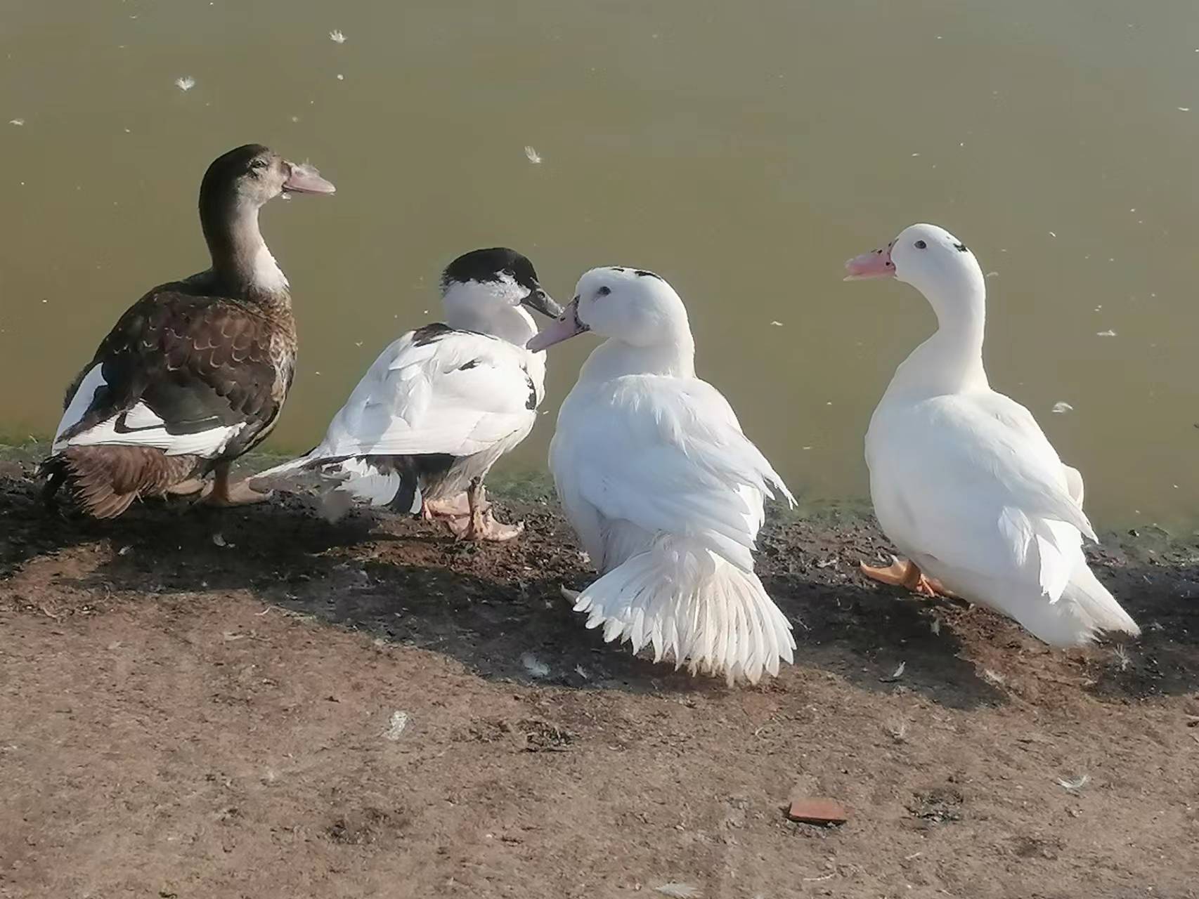 越没钱的时候越应该怎么做,为什么越能干的人越没钱