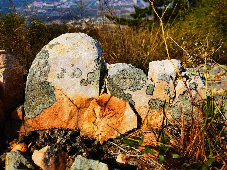 旅顺城山,旅顺城山怎么绕过去