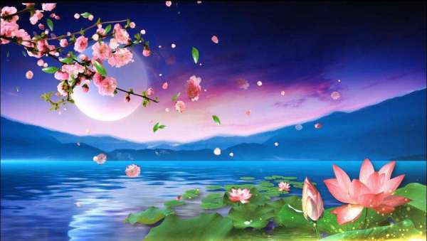 李白诗中描写月亮的诗句有什么,诗词文学中的月亮有多美