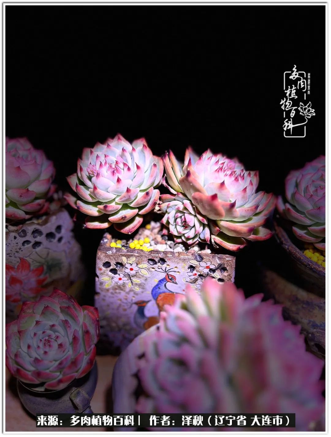 四季轮回之秋天,四季轮回之冬季