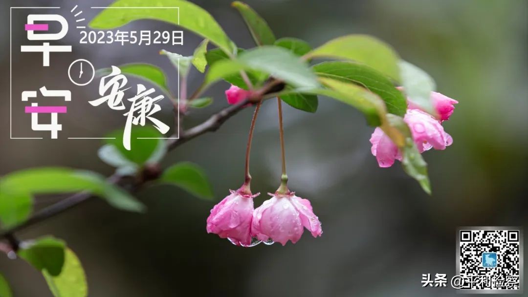 《安康市物业服务与管理条例》将于6月1日起施行；汉滨区被命名为第一批陕西省婴幼儿照护服务示范城区