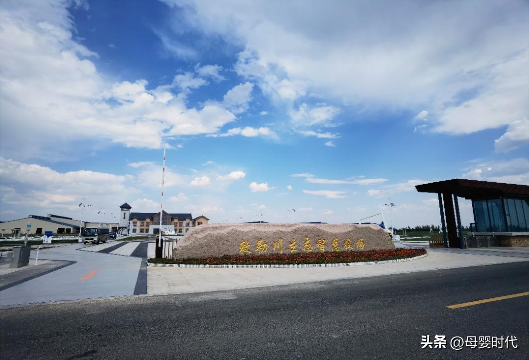 好奶粉新标准,金领冠珍护好奶粉新标准