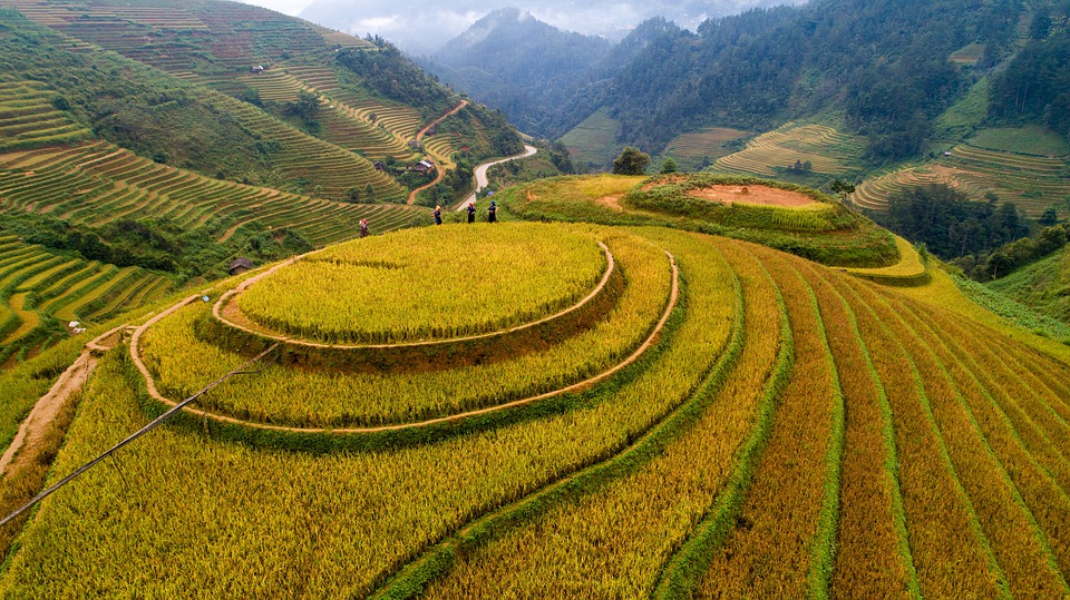 酒店数字营销方法 (酒店数字化营销策略培训)