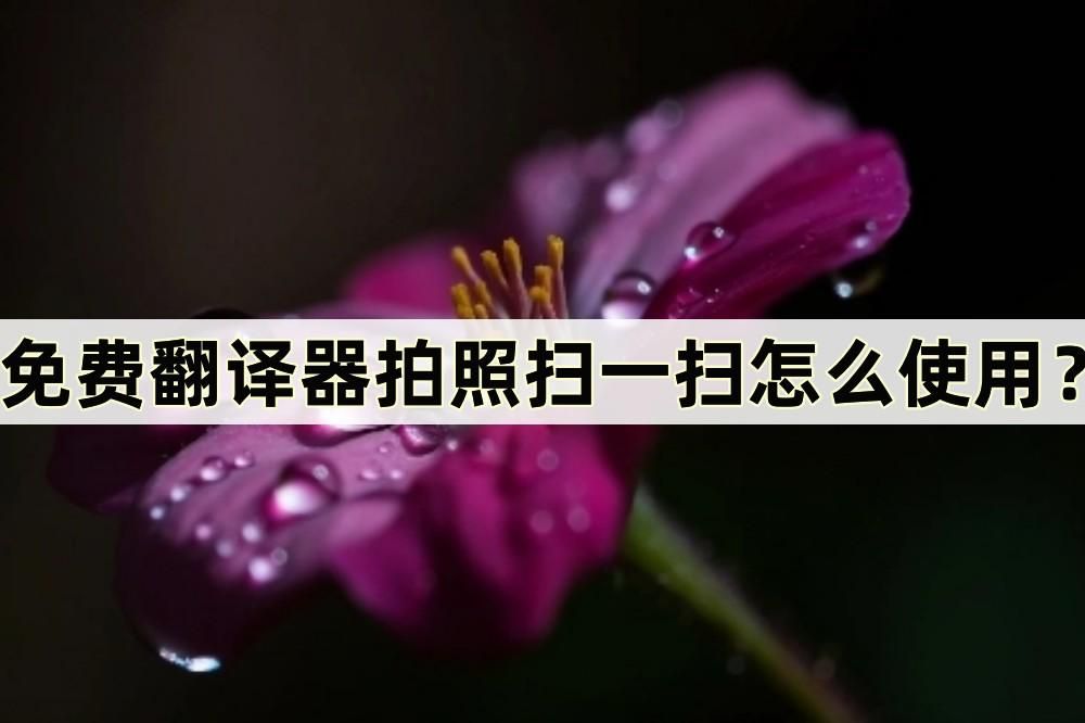 英语翻译器拍照翻译扫一扫,语音翻译器下载免费拍照翻译