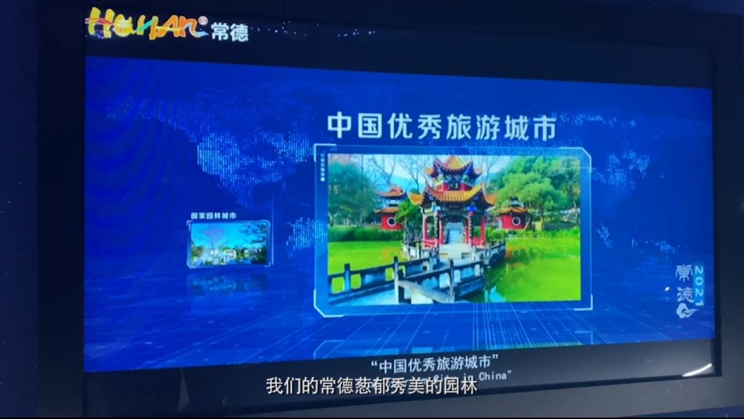 世界潮我看丨中外“导游”带你逛展览、品美食……云游世界