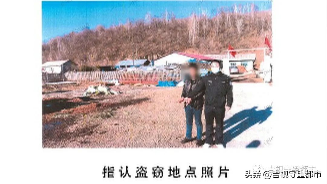 偷林场的松塔犯法吗,捡松塔违法吗