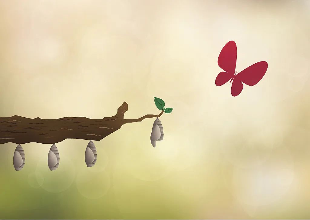 天语横屏手机,天语手机发展史