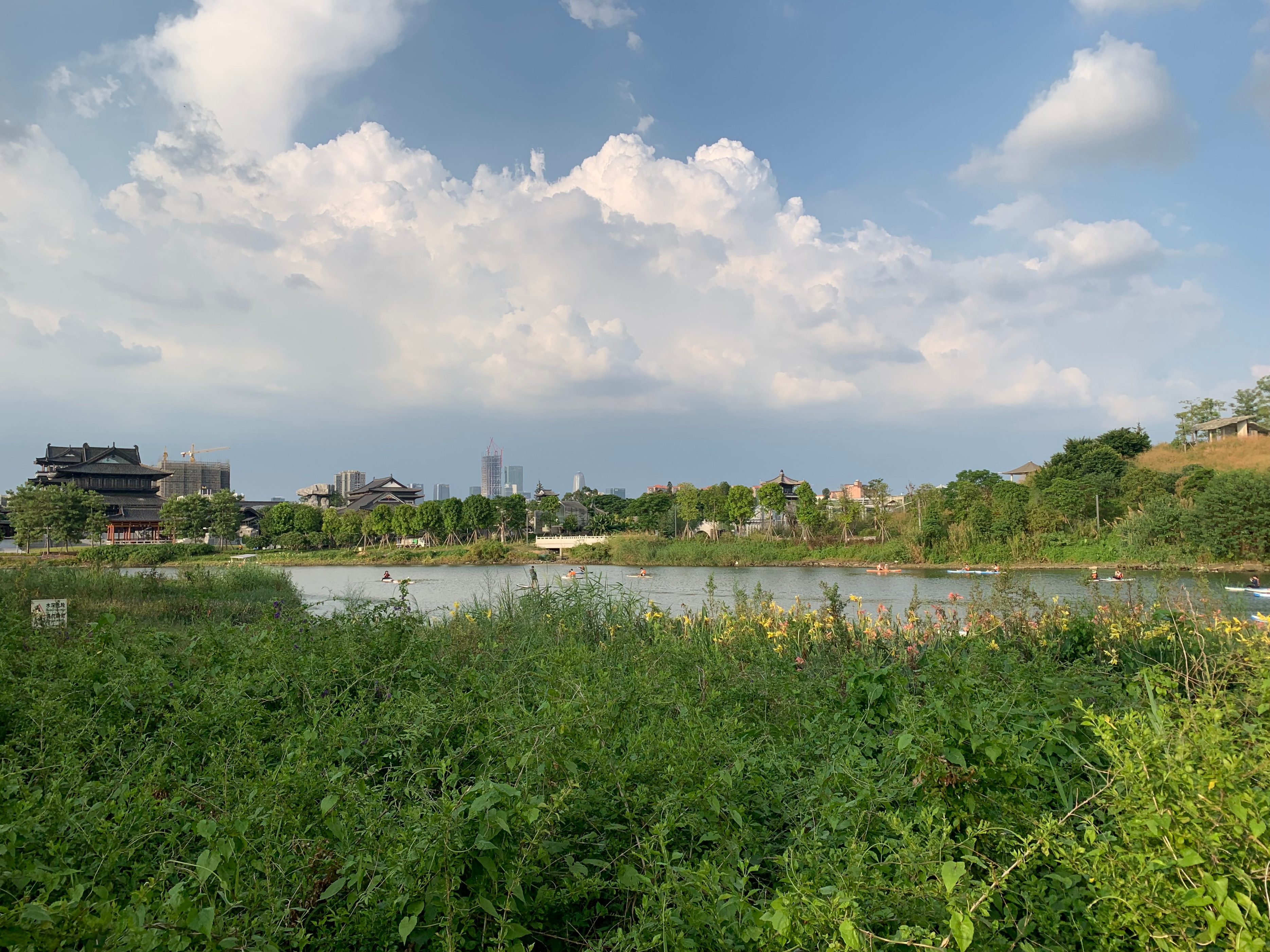 广州海珠湿地公园游玩攻略一日游,海珠湖湿地公园最佳游玩时间