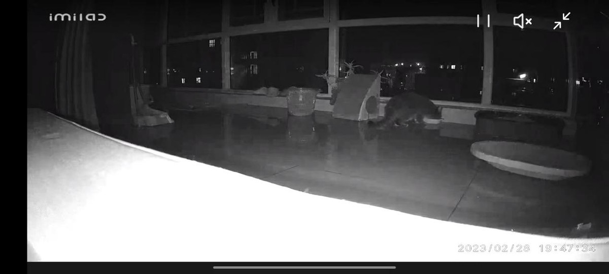 小白智能摄像机y3怎么智能分享,小白智能摄像机云台版y3有开关吗