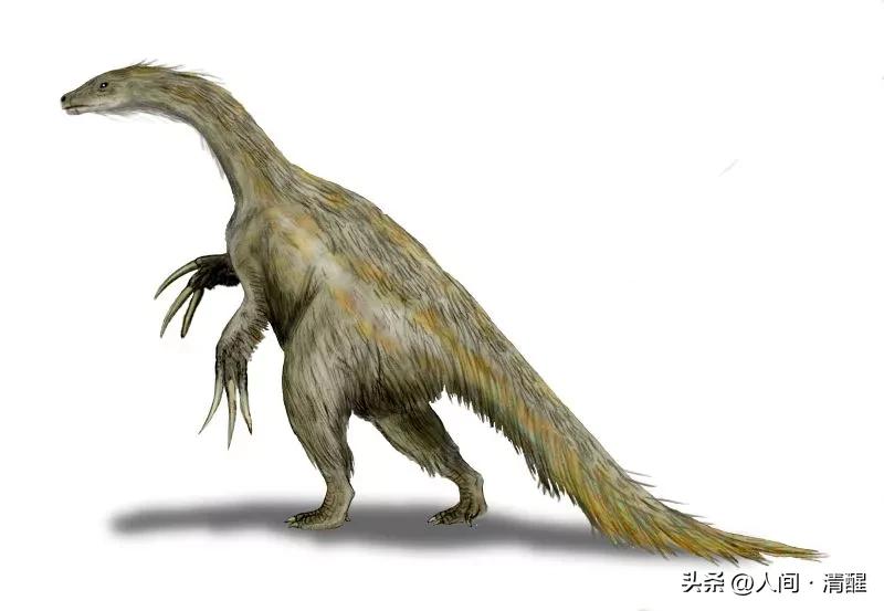 游星方舟奇怪的恐龙,世界上最奇葩的恐龙是什么恐龙