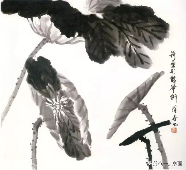 鍥界敾鑽疯姳鐢绘硶瑙嗛,娉煎ⅷ鑽疯姳鐢绘硶瑙嗛